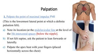 Palpable P2 Cardiovascular examination | PPTX