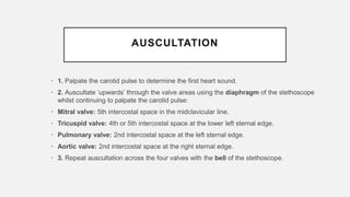 Cardiopulmonary System.pdf Cardiovascular examination | PPTX