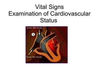 Vital Signs Examination of Cardiovascular Status  