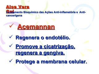 Aloe Vera Gel Fundamento Bioquímico das Ações Anti-inflamatória e  Anti-cancerígena Acemannan Regenera o endotélio. Promove a cicatrização, regenera a gengiva. Protege a membrana celular. 