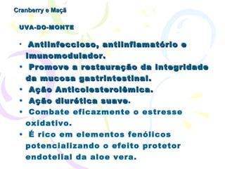 Cranberry e Maçã UVA-DO-MONTE  Antiinfeccioso, antiinflamatório e imunomodulador.  Promove a restauração da integridade da mucosa gastrintestinal.   Ação Anticolesterolêmica. Ação diurética suave . Combate eficazmente o estresse oxidativo. É rico em elementos fenólicos potencializando o efeito protetor endotelial da aloe vera. 