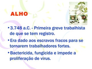 ALHO 3.748 a.C. - Primeira greve trabalhista de que se tem registro. Era dado aos escravos fracos para se tornarem trabalhadores fortes. Bactericida, fungicida e impede a proliferação de virus. 
