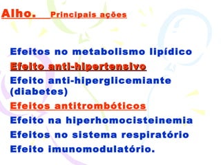 Alho.  Principais ações Efeitos no metabolismo lipídico Efeito anti-hipertensivo Efeito anti-hiperglicemiante (diabetes) Efeitos antitrombóticos Efeito na hiperhomocisteinemia Efeitos no sistema respiratório Efeito imunomodulatório. 