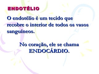 ENDOTÉLIO O endotélio é um tecido que recobre o interior de todos os vasos sanguíneos. No coração, ele se chama ENDOCÁRDIO. 