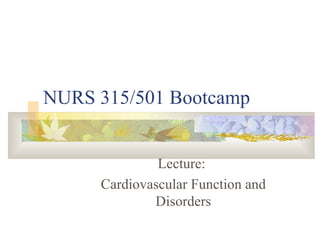 NURS 315/501 Bootcamp Lecture:  Cardiovascular Function and Disorders 
