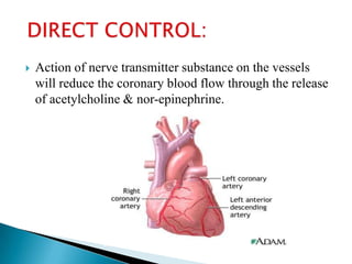    Action of nerve transmitter substance on the vessels
    will reduce the coronary blood flow through the release
    of acetylcholine & nor-epinephrine.
 