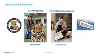 © 2020 Knobbe Martens
Introductions & Overview
3
IP Related Transactions
Adam Gilbert
USPTO Update
Shannon Lam
 