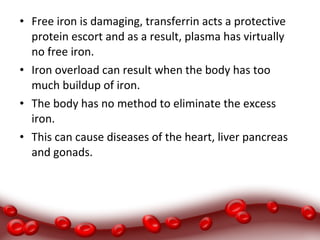 • Free iron is damaging, transferrin acts a protective
protein escort and as a result, plasma has virtually
no free iron.
• Iron overload can result when the body has too
much buildup of iron.
• The body has no method to eliminate the excess
iron.
• This can cause diseases of the heart, liver pancreas
and gonads.
 