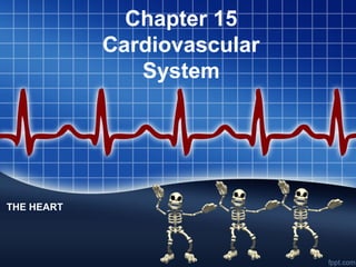 Chapter 15
Cardiovascular
System
THE HEART
 