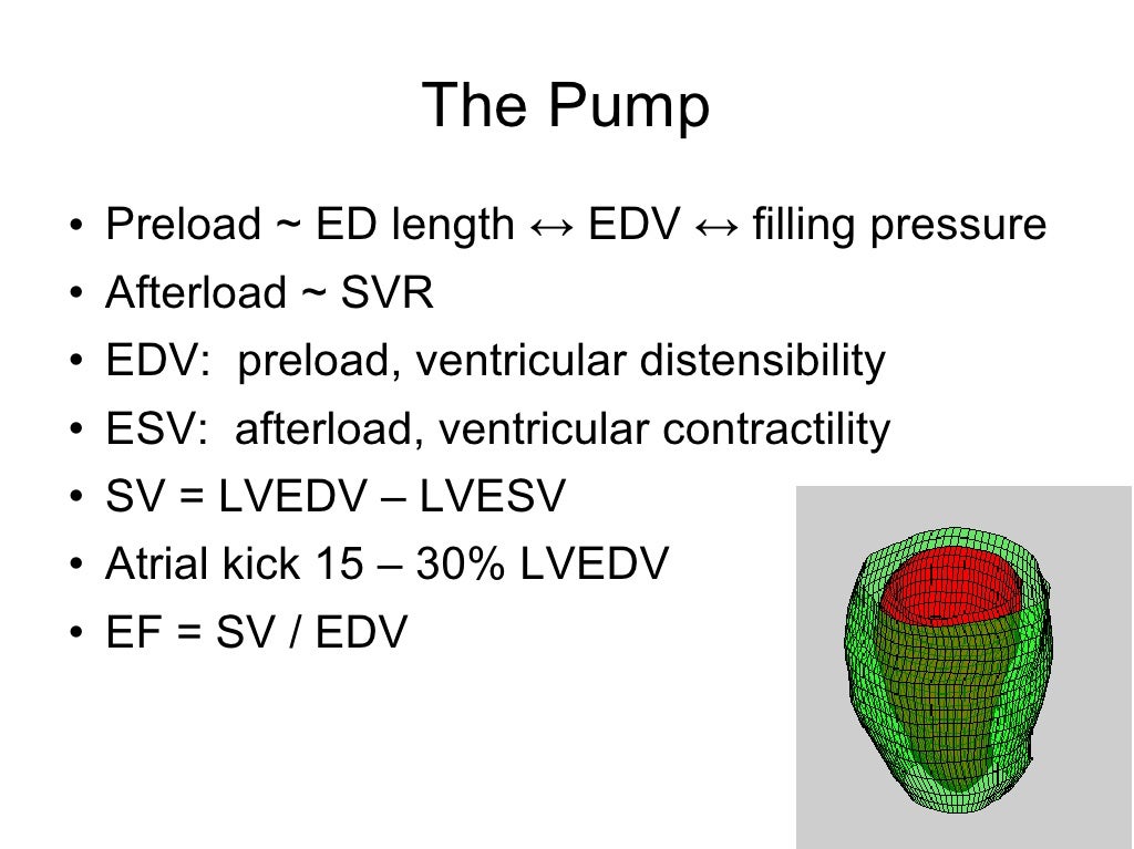 Cardiovascular Parameters