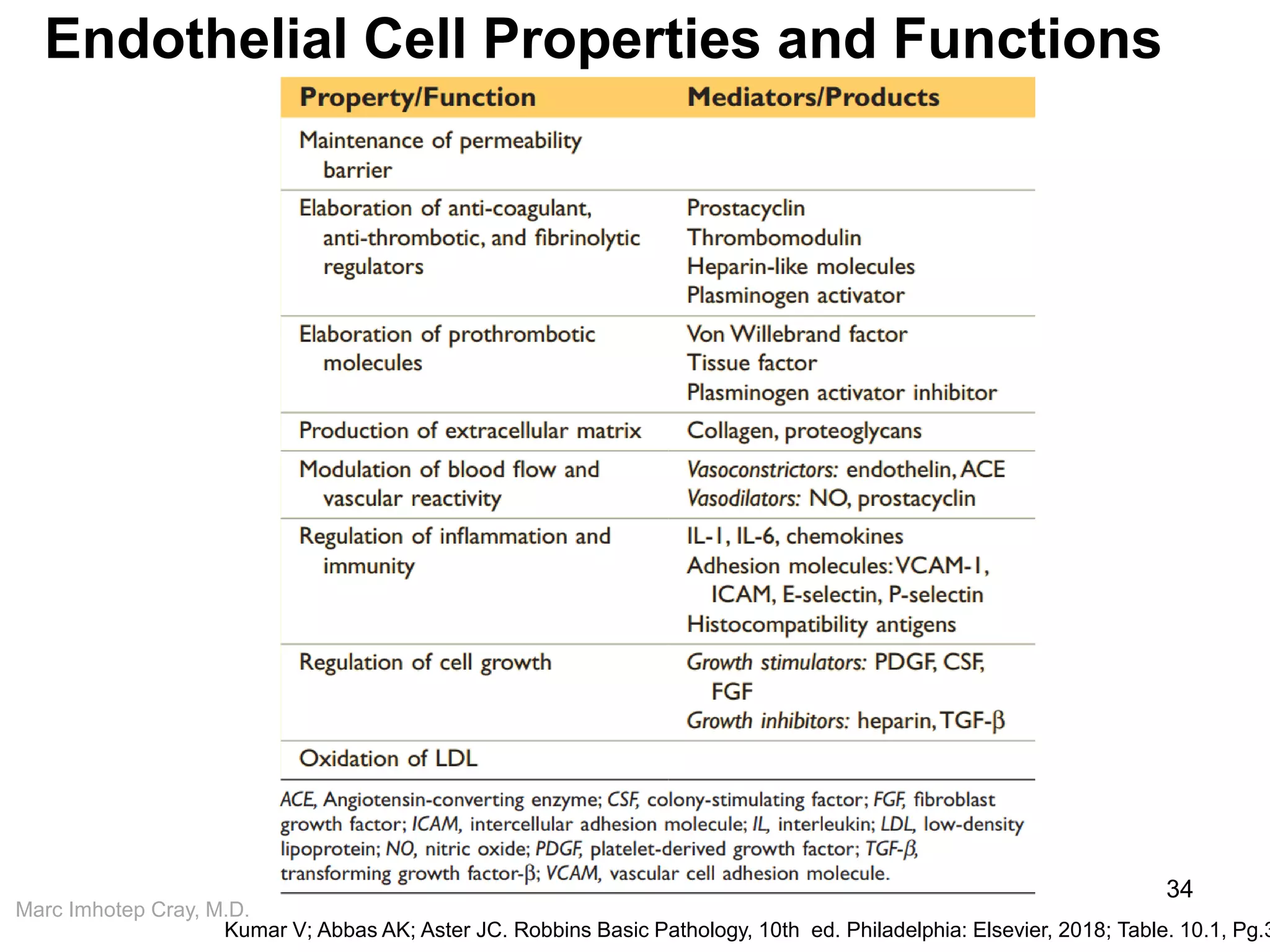Marc Imhotep Cray, M.D.
Endothelial Cell Properties and Functions
34
Kumar V; Abbas AK; Aster JC. Robbins Basic Pathology, 10th ed. Philadelphia: Elsevier, 2018; Table. 10.1, Pg.3
 