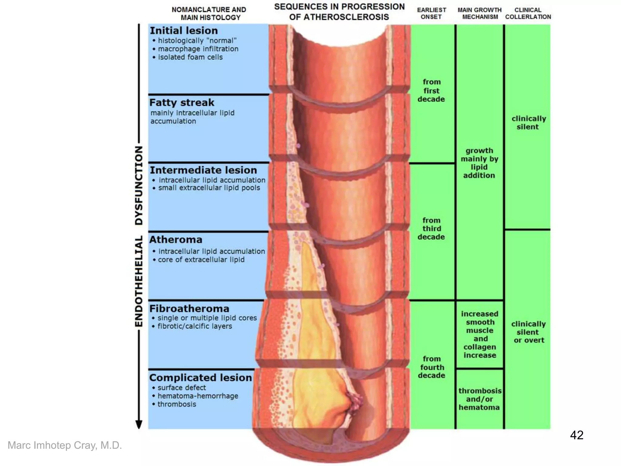 Marc Imhotep Cray, M.D.
42
 