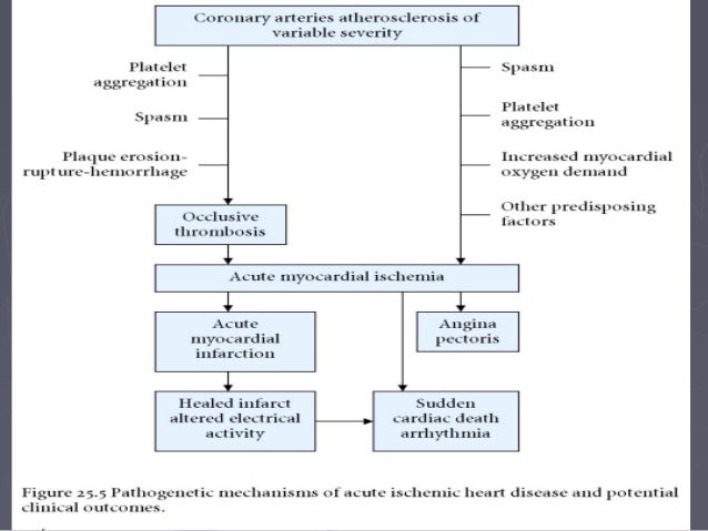 Contoh Flowchart Logika - Img Your