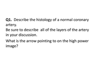 Q1. Describe the histology of a normal coronary
artery.
Be sure to describe all of the layers of the artery
in your discussion.
What is the arrow pointing to on the high power
image?
 