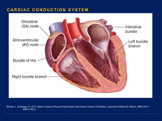 Bickley, L. & Szilagyi, P. 2013. Bates' Guide to Physical Examination and History Taking 11th Edition. Lippincott Williams & Wilkins. ISBN 978-1-
60913-762-5.
C AR D I A C C O N D U C T I O N S Y S T E M
 