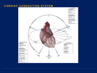 C AR D I A C C O N D U C T I O N S Y S T E M
 