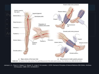 Extremities
Palpation
• Localized areas with varied temperature
• Capillary Refill Time
• Pulses
Ankle-Brachial Index
Jameson, J.L., Fauci, A., Kasper, D., Hauser, S., Longo, D. & Loscalzo, J. 2018. Harrison's Principles of Internal Medicine 20th Edition. McGraw-
Hill Education. ISBN: 978-1-25-964404-7.
 
