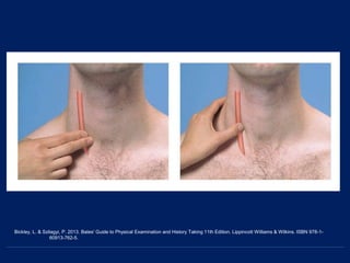 Bickley, L. & Szilagyi, P. 2013. Bates' Guide to Physical Examination and History Taking 11th Edition. Lippincott Williams & Wilkins. ISBN 978-1-
60913-762-5.
 