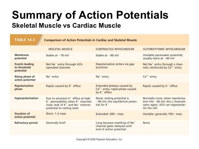 Cardiovascular physiology