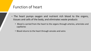 Function of heart
• The heart pumps oxygen and nutrient rich blood to the organs,
tissues and cells of the body, and eliminates waste products
• Blood is carried from the heart to the organs through arteries, arterioles and
capillaries
• Blood returns to the heart through venules and veins
 