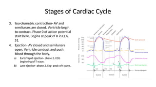 Cardiovascular Physiology - the basics.pptx