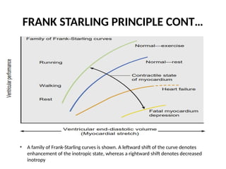 Leftward Curce Cardiovascular Physiology 31.1.23. or pptx | PPTX