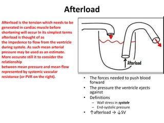 Cardiovascular physiology for anesthesia | PPTX