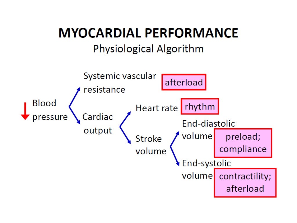 Cardiovascular physiology for anesthesia