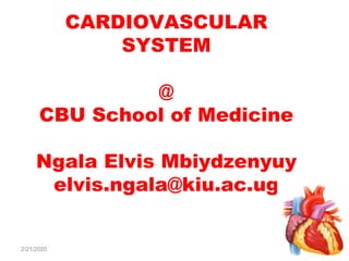 CARDIOVASCULAR
SYSTEM
@
CBU School of Medicine
Ngala Elvis Mbiydzenyuy
elvis.ngala@kiu.ac.ug
2/21/2020 1
 