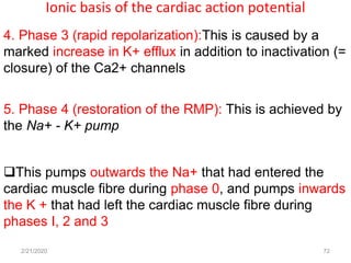 Cardiac Rmp Cardiovascular physiology intro heart | PPT