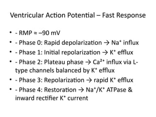 Type 2w Rmp Cardiovascular_Physiology_PPT by Dr K Ambareesha | PPTX