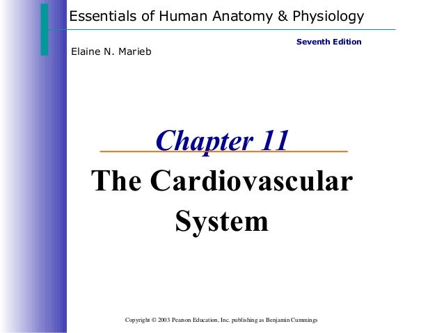 Cardiovascular Powerpoint
