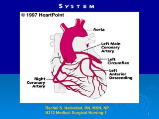 The Cardiovascular System Rachel S. Natividad, RN, MSN, NP N212 Medical Surgical Nursing 1 