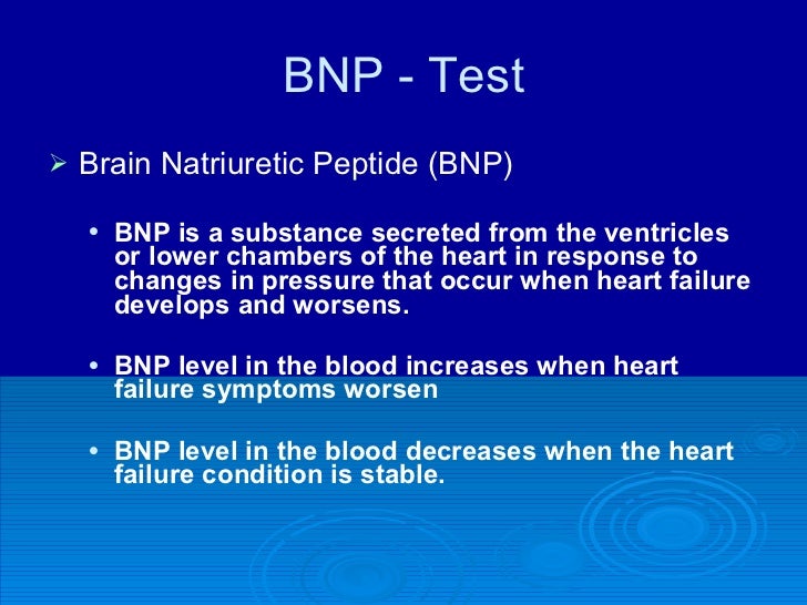 Cardiovascular ppt. fall 08 web v1