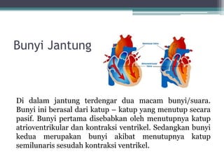 Bunyi Jantung
Di dalam jantung terdengar dua macam bunyi/suara.
Bunyi ini berasal dari katup – katup yang menutup secara
pasif. Bunyi pertama disebabkan oleh menutupnya katup
atrioventrikular dan kontraksi ventrikel. Sedangkan bunyi
kedua merupakan bunyi akibat menutupnya katup
semilunaris sesudah kontraksi ventrikel.
 