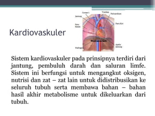 Kardiovaskuler
Sistem kardiovaskuler pada prinsipnya terdiri dari
jantung, pembuluh darah dan saluran limfe.
Sistem ini berfungsi untuk mengangkut oksigen,
nutrisi dan zat – zat lain untuk didistribusikan ke
seluruh tubuh serta membawa bahan – bahan
hasil akhir metabolisme untuk dikeluarkan dari
tubuh.
 
