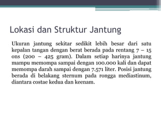 Lokasi dan Struktur Jantung
Ukuran jantung sekitar sedikit lebih besar dari satu
kepalan tangan dengan berat berada pada rentang 7 – 15
ons (200 – 425 gram). Dalam setiap harinya jantung
mampu memompa sampai dengan 100.000 kali dan dapat
memompa darah sampai dengan 7.571 liter. Posisi jantung
berada di belakang sternum pada rongga mediastinum,
diantara costae kedua dan keenam.
 