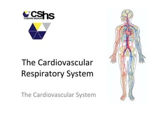 The Cardiovascular
Respiratory System
The Cardiovascular System
 