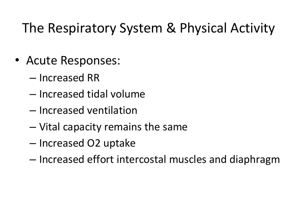 Cardiovascular and Respiratory System
