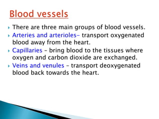    There are three main groups of blood vessels.
   Arteries and arterioles- transport oxygenated
    blood away from the heart.
   Capillaries – bring blood to the tissues where
    oxygen and carbon dioxide are exchanged.
   Veins and venules – transport deoxygenated
    blood back towards the heart.
 