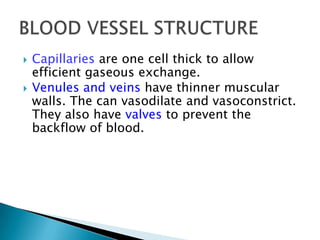    Capillaries are one cell thick to allow
    efficient gaseous exchange.
   Venules and veins have thinner muscular
    walls. The can vasodilate and vasoconstrict.
    They also have valves to prevent the
    backflow of blood.
 