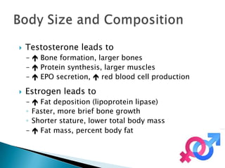    Testosterone leads to
    –  Bone formation, larger bones
    –  Protein synthesis, larger muscles
    –  EPO secretion,  red blood cell production

   Estrogen leads to
    –  Fat deposition (lipoprotein lipase)
    ◦ Faster, more brief bone growth
    ◦ Shorter stature, lower total body mass
    –  Fat mass, percent body fat
 