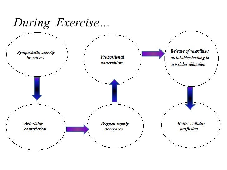 Cardiovascular Response To Exercise Avik Baxsu - 