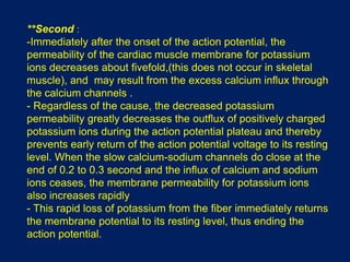 **Second :
-Immediately after the onset of the action potential, the
permeability of the cardiac muscle membrane for potassium
ions decreases about fivefold,(this does not occur in skeletal
muscle), and may result from the excess calcium influx through
the calcium channels .
- Regardless of the cause, the decreased potassium
permeability greatly decreases the outflux of positively charged
potassium ions during the action potential plateau and thereby
prevents early return of the action potential voltage to its resting
level. When the slow calcium-sodium channels do close at the
end of 0.2 to 0.3 second and the influx of calcium and sodium
ions ceases, the membrane permeability for potassium ions
also increases rapidly
- This rapid loss of potassium from the fiber immediately returns
the membrane potential to its resting level, thus ending the
action potential.
 