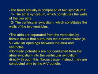 -The heart actually is composed of two syncytiums:
1- The atrial syncytium, which constitutes the walls
of the two atria.
2- The ventricular syncytium, which constitutes the
walls of the two ventricles.
•The atria are separated from the ventricles by
fibrous tissue that surrounds the atrioventricular (A-
V) valvular openings between the atria and
ventricles.
•Normally, potentials are not conducted from the
atrial syncytium into the ventricular syncytium
directly through this fibrous tissue. Instead, they are
conducted only by the A-V bundle.
 