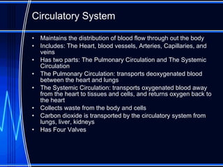 Cardiovascular System | PPT