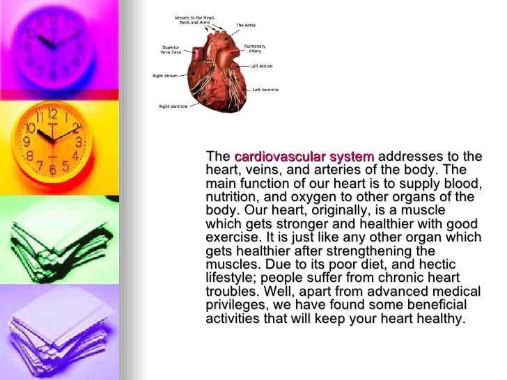 Cardiovascular System