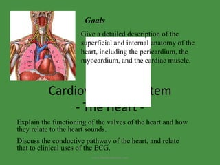 Cardiovascular System - The Heart - Give a detailed description of the superficial and internal anatomy of the heart, including the pericardium, the myocardium, and the cardiac muscle. Explain the functioning of the valves of the heart and how they relate to the heart sounds. Discuss the conductive pathway of the heart, and relate that to clinical uses of the ECG. Goals www.freelivedoctor.com 