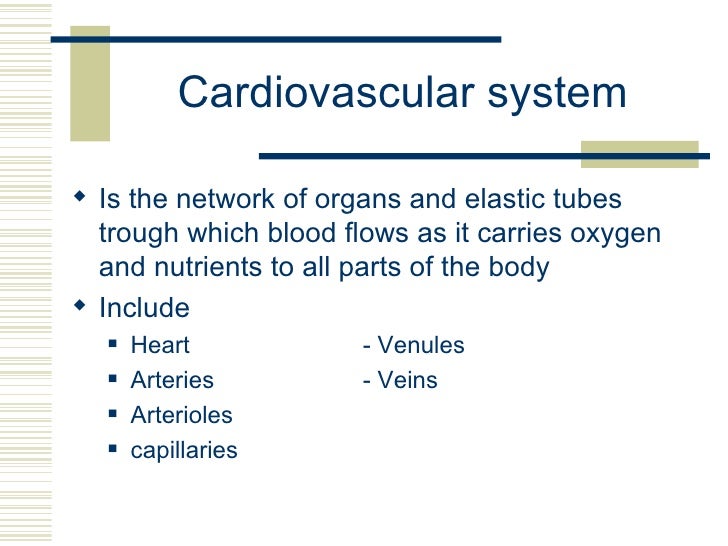Cardiovascular system
