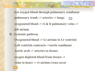 low oxygen blood through pulmonary semilunar
   pulmonary trunk -> arteries -> lungs
   oxygenated blood -> rt & lt pulmonary veins ->
   left atrium
B. Systemic pathway
   Oxygenated blood -> Lt atrium to Lt ventricle
   Left ventricle contracts ->aortic semilunar
   Aortic arch -> arteries to tissues
   oxygen depleted blood from tissues ->
   veins to heart -> rt atrium (vena cava)
 